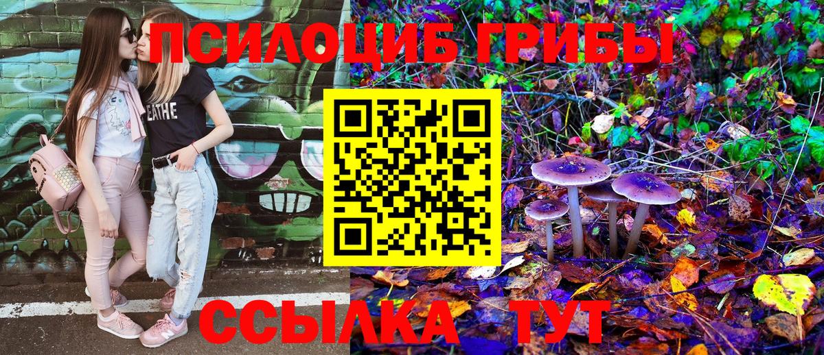 Галлюциногенные грибы прущие грибы Майкоп