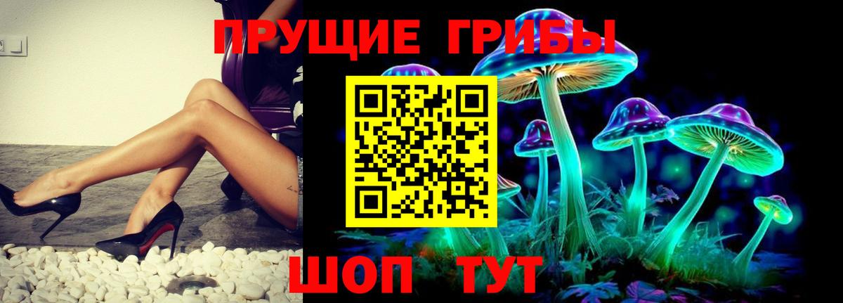 Галлюциногенные грибы прущие грибы  Псилоцибиновые грибы Psilocybe  Вход с VPN  Майкоп 